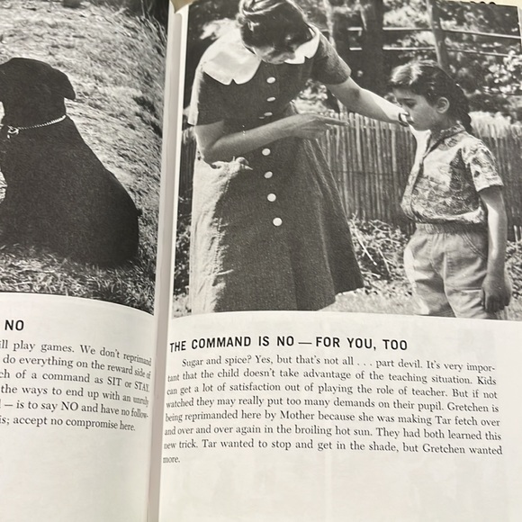 Family Dog by Richard A. Wolters HC/DJ 1975 Book - Picture 11 of 16